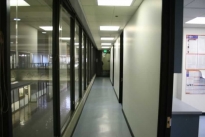 161. Suite 299