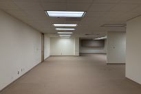 151. Suite 272