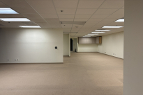 150. Suite 272