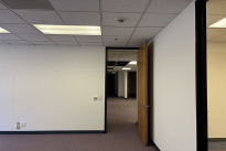 154. Suite 296