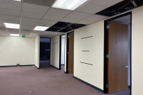 155. Suite 296