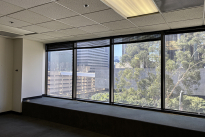 197. Suite 364