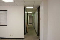 231. Suite 489