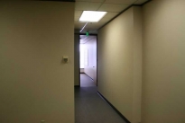 233. Suite 499
