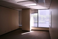 235. Suite 499