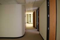 258. Suite 562