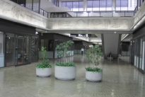 38. Lobby